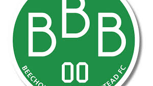 Image result for Beecholme Belles Banstead FC