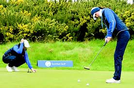 Image result for Solway Links Golf Course