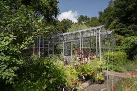 Image result for Priona Tuinen