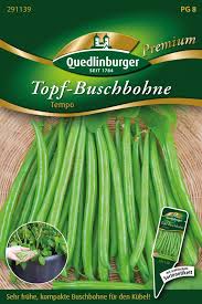 Image result for Buschbohnen