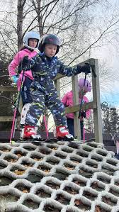 Image result for Gordon Skiers