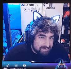 Image result for gesto dell