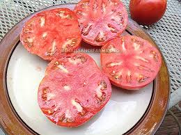 Afbeeldingsresultaat voor kosmonaut volkov 68D tomato