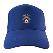 Image result for Shalford F C