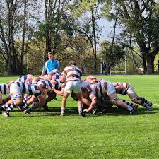 Image result for Mill Hill Rugby Football Club