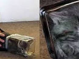 Kuvahaun tulos haulle bonsaikitten