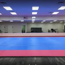 Image result for Hillsborough Judo Club