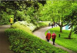 Image result for Hurlingham Park Bowls Club