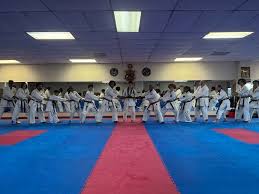 Image result for Bushido Academy Of Martial Arts (Bama)