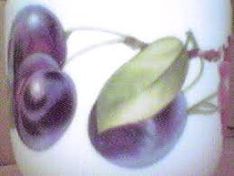 Image result for Worcester and Pershore Shukokai