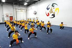 Image result for Professional  Martial Arts Academy