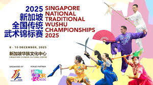 Image result for Dragon Wushu Club