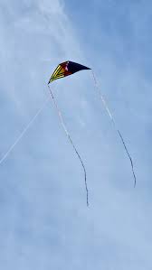 Image result for Poole Kite Fliers