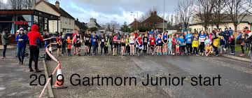 Image result for Wee County Harriers
