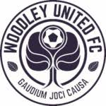 Image result for Woodley Saints Ladies FC