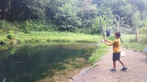 Image result for Guildford Angling Society