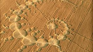 Image result for crop circle