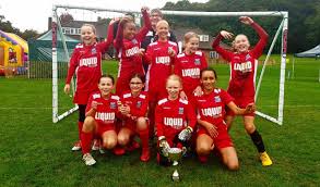 Image result for Walton & Hersham Football Club