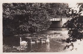 Image result for Byfleet Angling Club