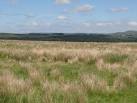 Pastures south of Waterloo House (3) - via Daymix