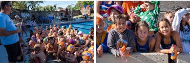 Image result for Loftus Dolphins Swimming Club