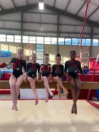 Image result for Abingdon Gymnastics Club