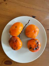 Attēlu rezultāti vaicājumam “Carex dioica fruit”