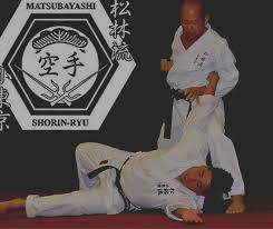 Image result for Imi Jishin Ryou karate do