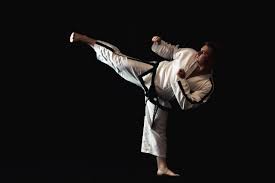 Image result for Bodyfit Martial Arts