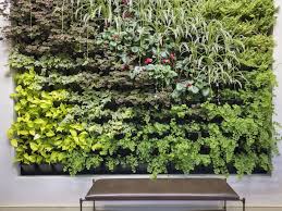 Image result for living wall