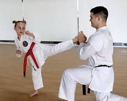 Image result for GKR KARATE - ESSEX & SUFFOLK