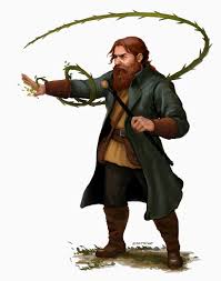 Image result for druid