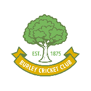 Image result for Redlynch and Hale Cricket Club