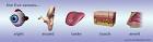 online QuickTime movies. - via Daymix