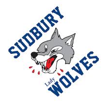 Image result for Sudbury Tchoukball Club