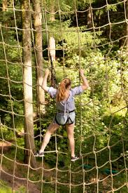 Image result for Go Ape! Dalby