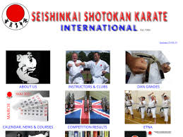 Image result for ZOKU SHOTOKAN KARATE (Baldock)