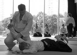 Image result for Bakewell Aikido Club