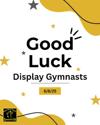 Image result for North Devon Display Gymnastics Club