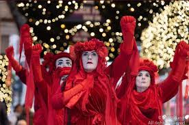 Image result for Reddish Rebels