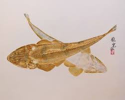 「魚拓」的圖片搜尋結果