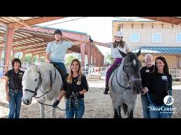 Image result for Shey Copse Riding Centre