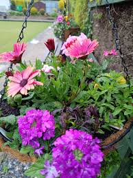 Image result for Glenfarg-Arngask Bowling Club