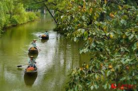 「柿の木利江」の画像検索結果