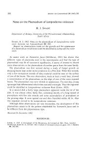 Attēlu rezultāti vaicājumam “Lamproderma violaceum”