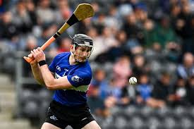Image result for Causeway Hurling Club