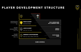Image result for Dragons Junior Badminton Club