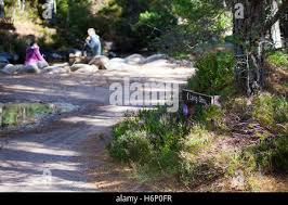 Image result for The Cairngorm Club