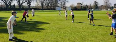 Image result for Sawbridgeworth Cricket Club