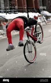 Image result for biker fox